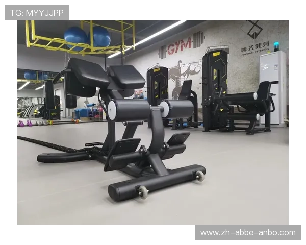 高端进口健身器械品牌热销型号排名与性能解析