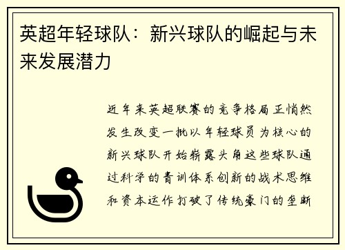 英超年轻球队：新兴球队的崛起与未来发展潜力